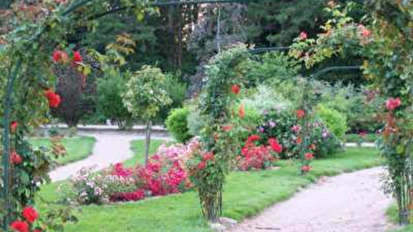 Aire de pique-nique de la Roseraie