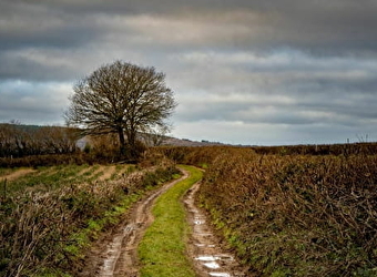Circuit de randonnée : Chemin du Tacot - ALLIGNY-EN-MORVAN
