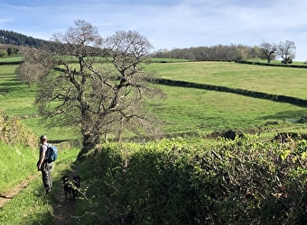 Vers les pâtures du sud Morvan  - SAINT-LEGER-SOUS-BEUVRAY