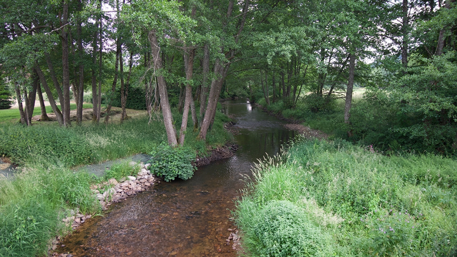 Le Ternin du pont du Souvert