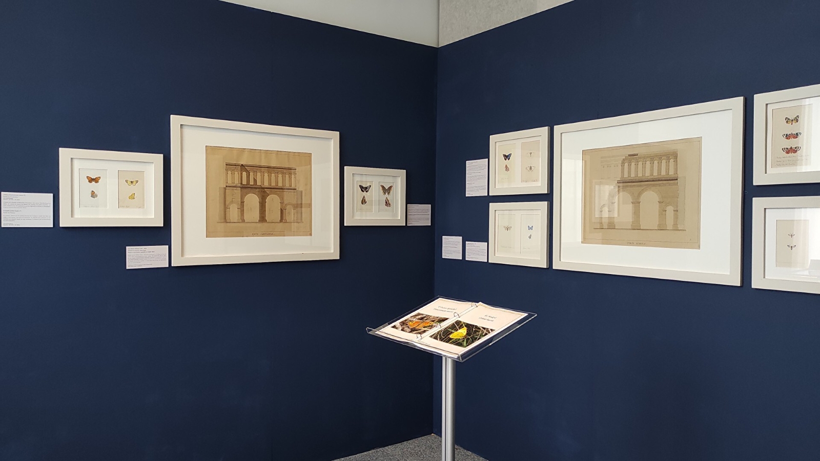 Exposition temporaire : Hommage à Jean Roidot-Déléage