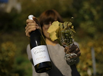 Domaine des Coeuriots - SAINT-PERE