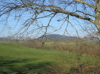 Entre étang et rivière - THIL-SUR-ARROUX