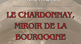 Dégustation thématique : Le Chardonnay, miroir de la Bourgogne - AUTUN