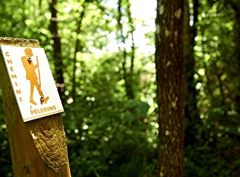 La boucle du Bois de Brenil - SAULIEU