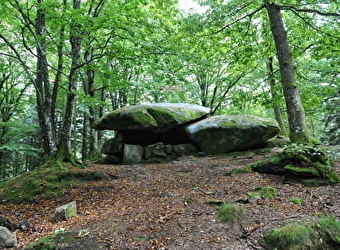 Circuit de randonnée : Boucle du dolmen Chevresse - Saint Brisson