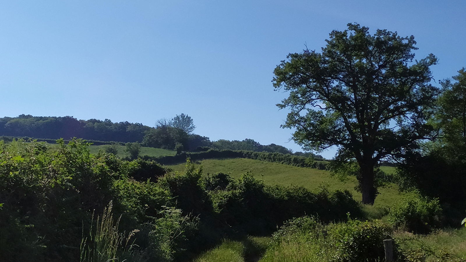 Le sentier de la Maison des Hommes et des Paysages