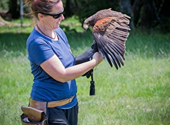 L'Echappée Morvan d'Ailes - Randonnée insolite - LA COMELLE
