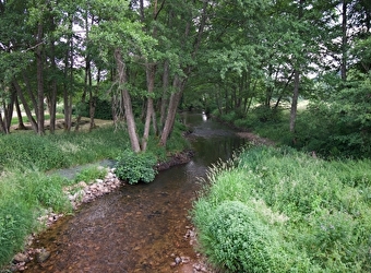 Le Ternin du pont du Souvert - LUCENAY-L'EVEQUE