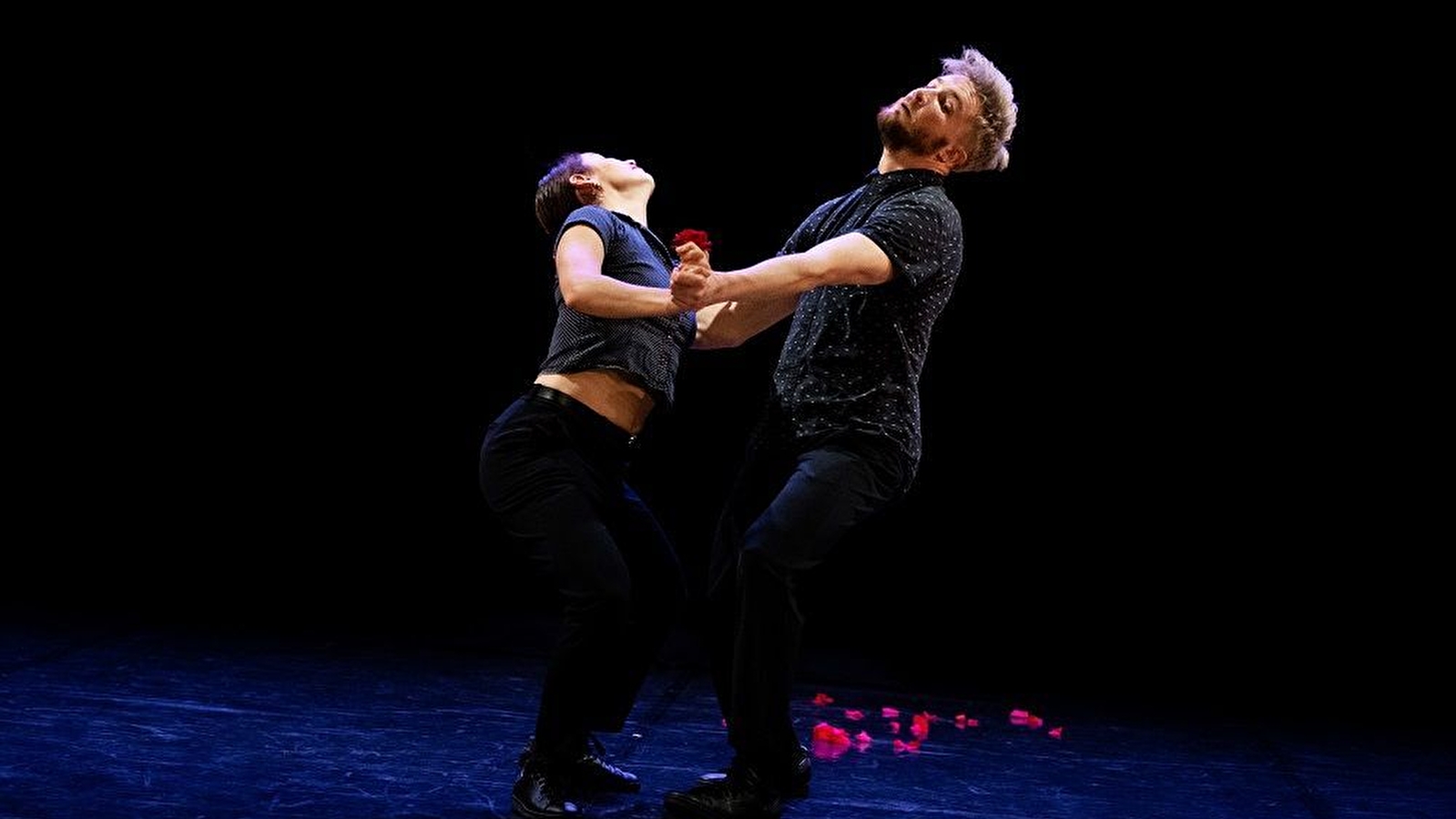 Arts et Scènes Côte d'Or : c'est la vida !