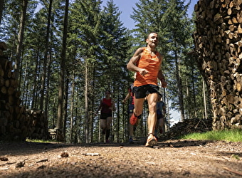 Circuit de Trail: Boucle n°3 de Moux-en-Morvan - MOUX-EN-MORVAN