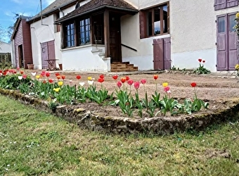 LES TULIPES - LIERNAIS