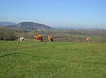 En montant à Dône - THIL-SUR-ARROUX