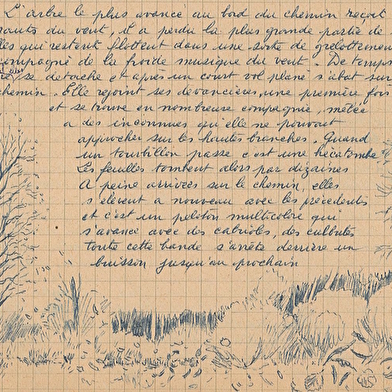 Les Nuits de la Lecture : Un genre littéraire à part : le récit de balades naturalistes.