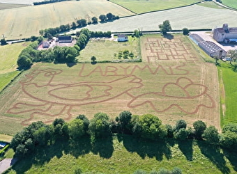 Labymaïs du Bazois - CHATILLON-EN-BAZOIS