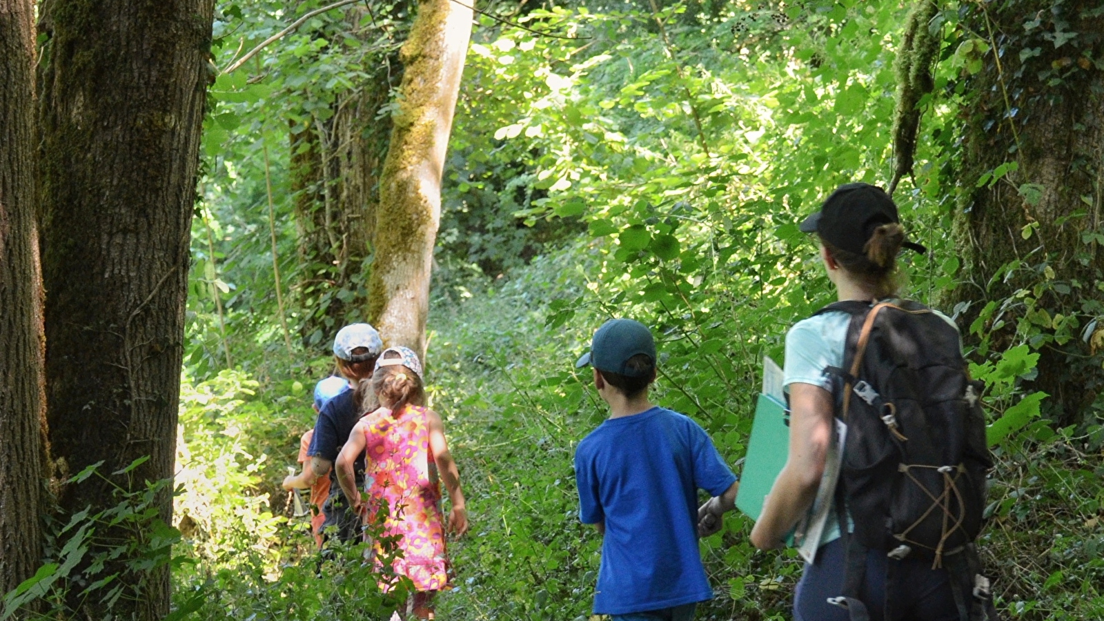  Randonnée commentée : Le long de la Cure entre rivière, forêt et bocage