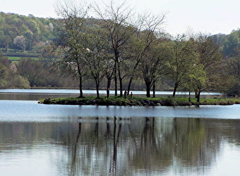 Tour du lac de Chamboux - SAINT-MARTIN-DE-LA-MER