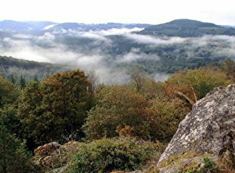 Circuit de randonnée : Boucle de la vallée de la cure - DUN-LES-PLACES