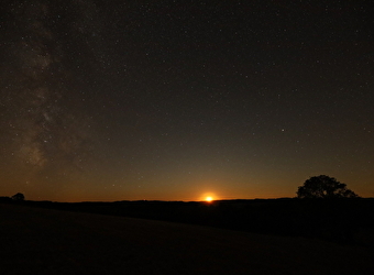 Au cœur de la nuit : la faune de Savilly - SAVILLY