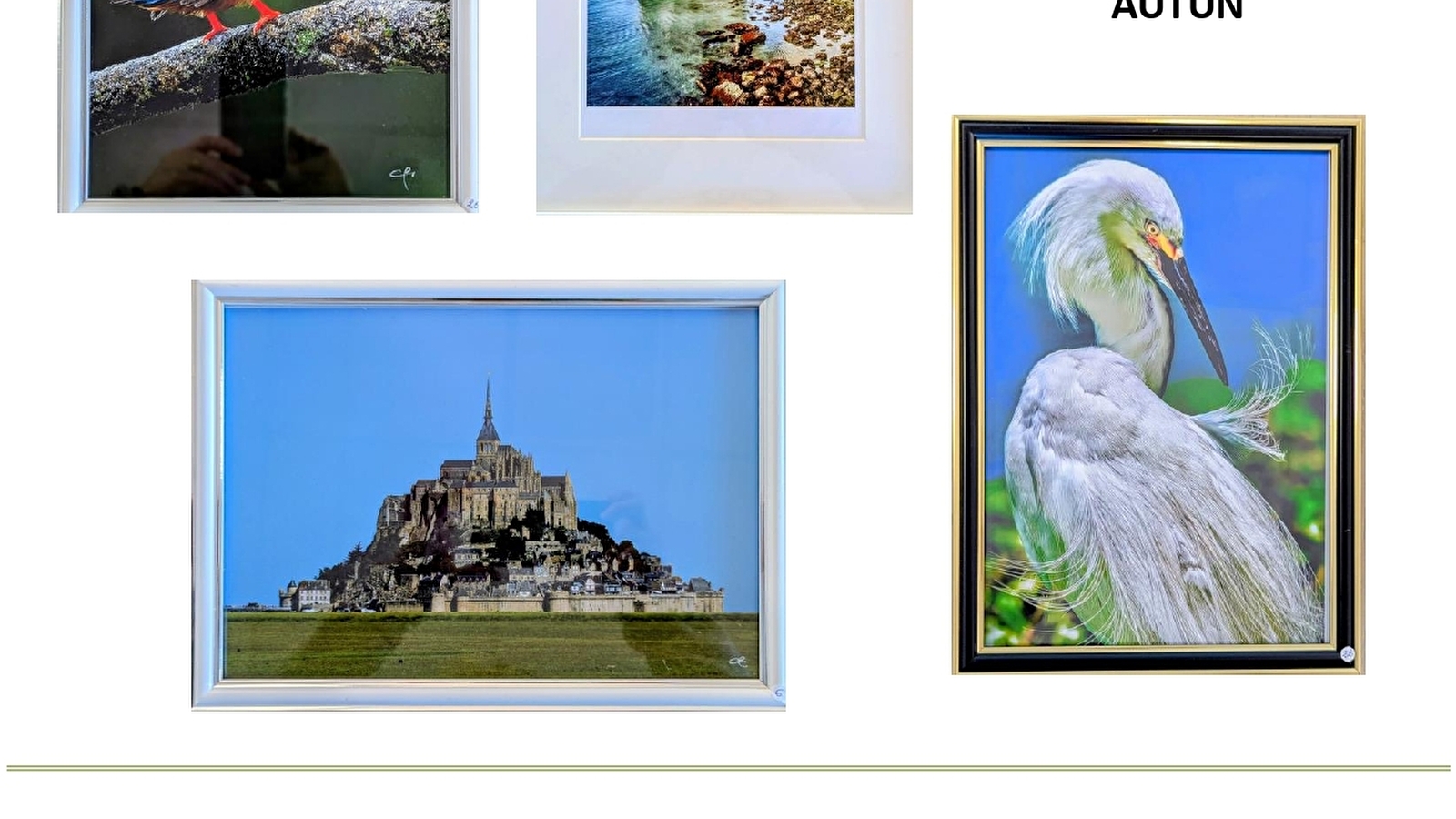 Expositon Christian PETITOT