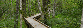 Le sentier de la Maison des Hommes et des Paysages - SAINT-BRISSON