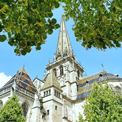Visite guidée de la Cathédrale Saint-Lazare