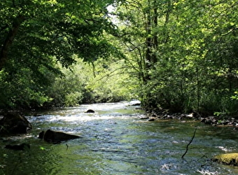 Circuit de randonnée : Boucle du pont de Saulieu - DUN-LES-PLACES