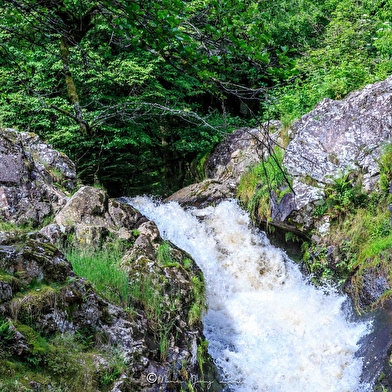 Le Saut de Gouloux