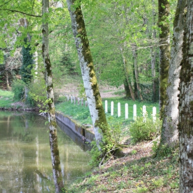 Etang de la Combe