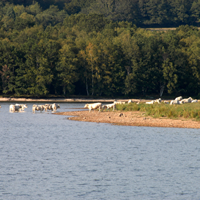 Lac de Saint-Agnan