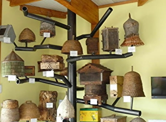 Ecomusée de l'Abeille - CHATEAU-CHINON (CAMPAGNE)