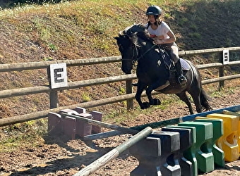 Poney club du Croux - SAINT-LEGER-SOUS-BEUVRAY