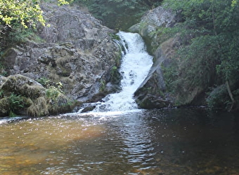 Maison des Grands Lacs - MONTSAUCHE-LES-SETTONS