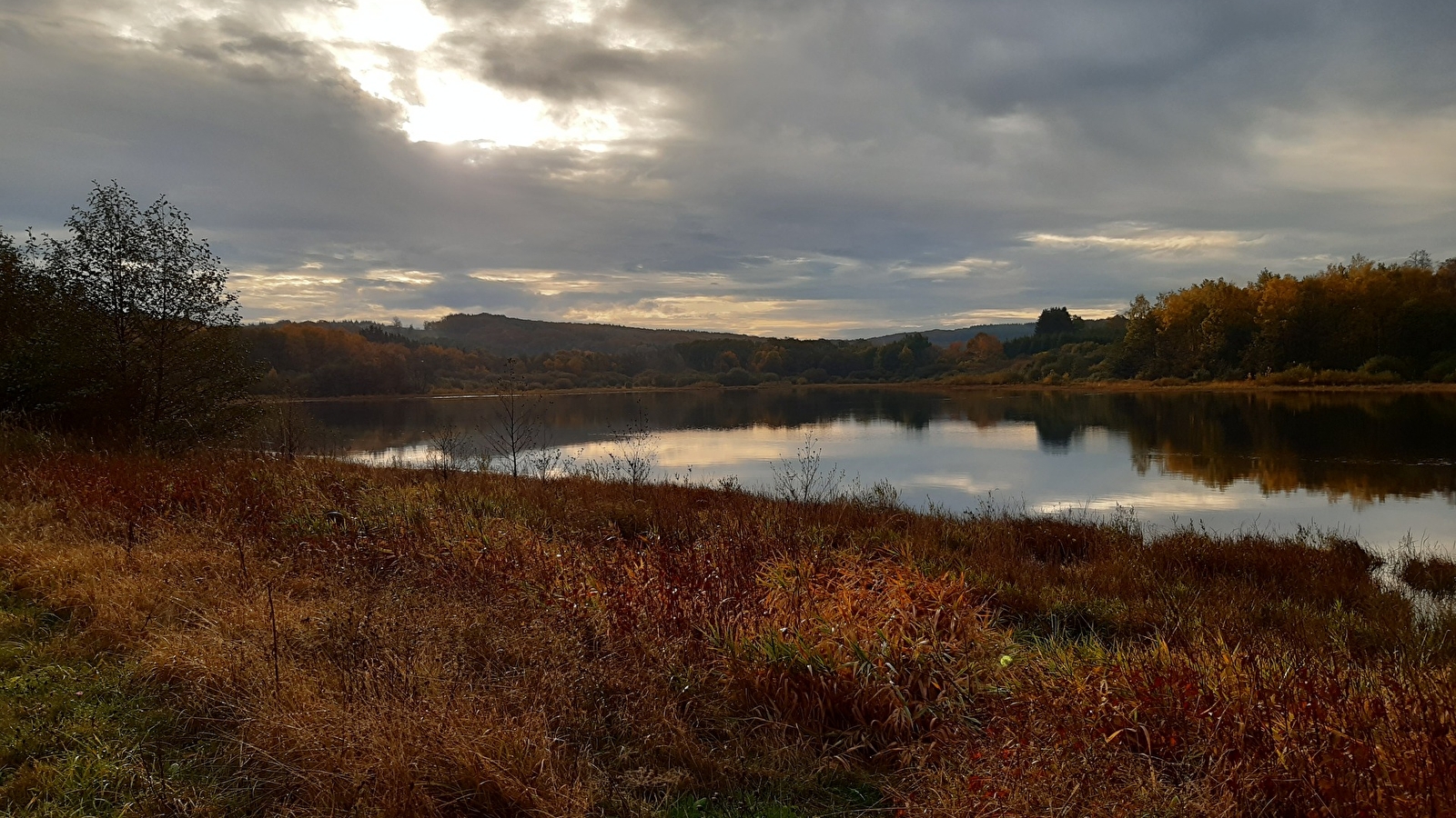 Balade nature « L’Étang Taureau, reflets du Morvan »