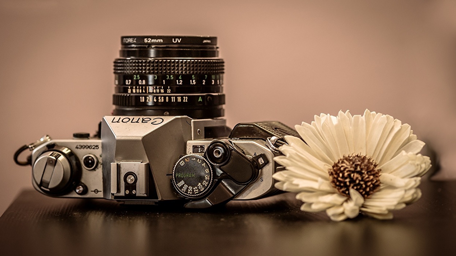 Labo photo végétal - Atelier 4-6 ans