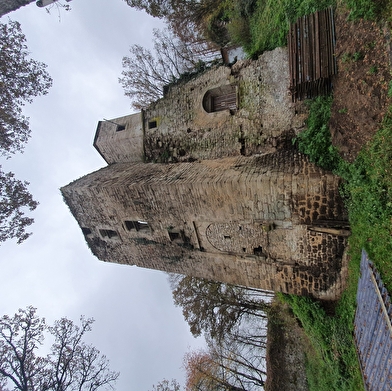 Château de Vautheau