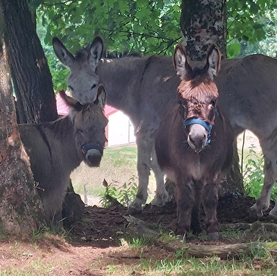 La ferme des mille et une découvertes