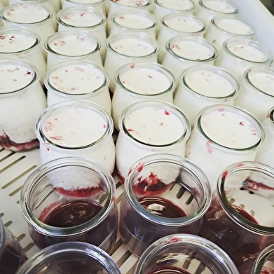 Les brebis de Pauline