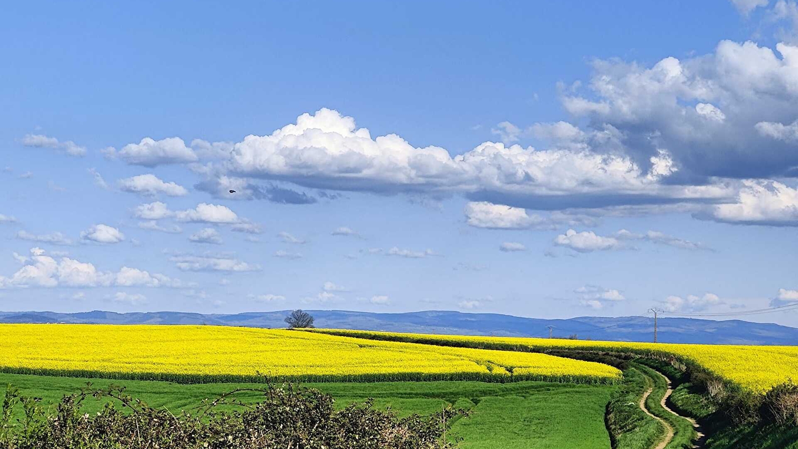 Grande boucle cyclo Châtillon-en-Bazois / Montapas / Etang de Baye