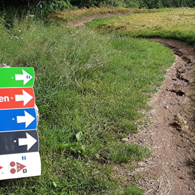 Site de piste de descente VTT