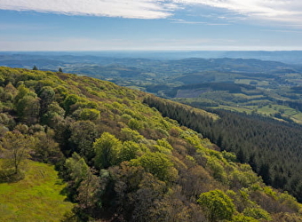 La Certenue - MESVRES