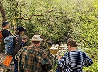 Le Saut de Gouloux, un site emblématique du Morvan - GOULOUX